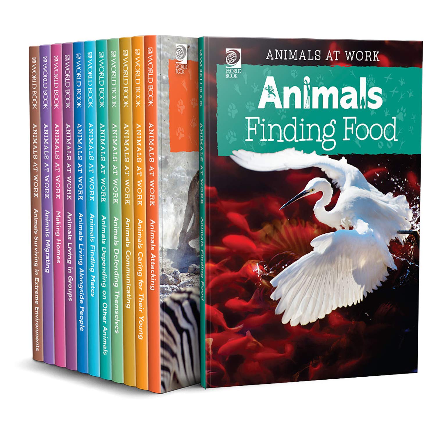 Animals At Work Roberta Bailey 9780716627241 Amazon Com Books