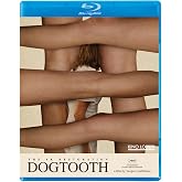 Dogtooth