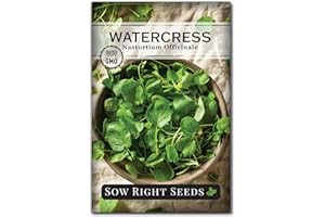 Sow Right Seeds - Watercress Seeds for Planting - Non-GMO Heirloom Packet with Instructions to Plant and Grow Home Garden - Fast-Growing Aquatic Vegetable with Edible Leaves - Fresh and Delicious