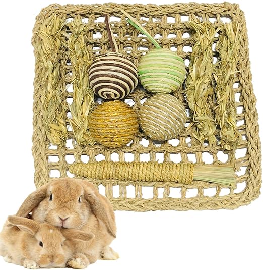 rabbit activity toys