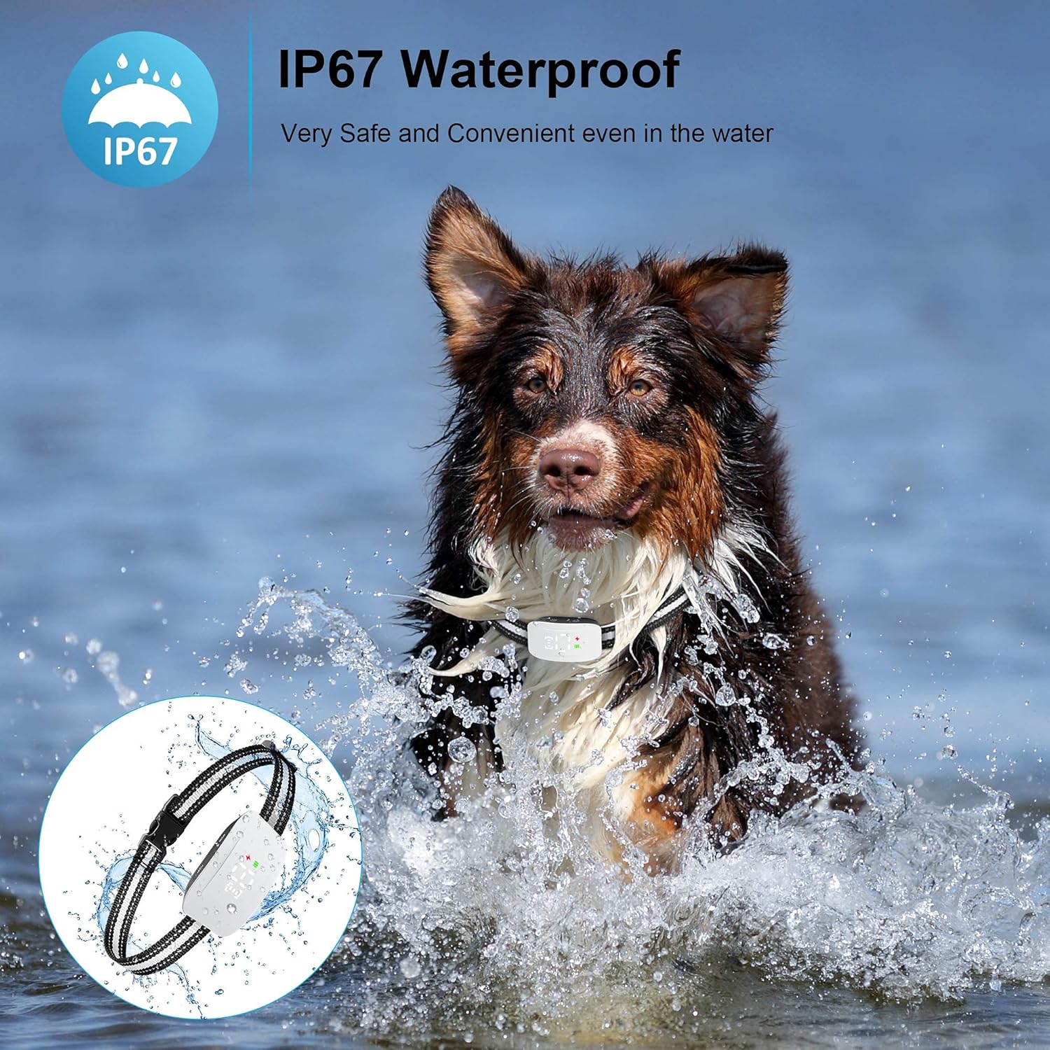 Bark Collar Dog Bark Collar Rechargeable Shock Collar with Beep Vibration Dog Shock Collar for Small Medium Large Dogs : Kitchen & Dining
