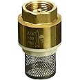 B & K INDUSTRIES ProLine 101-324NL Foot Valve, 3/4 in FPT, Brass 101-324NL