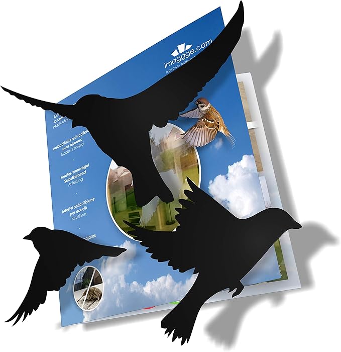 AntiCollision Stickers to Prevent Bird Strikes on Window