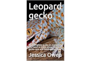 Leopard gecko: The complete guide on everything you need to know about Leopard gecko care and feeding your pets