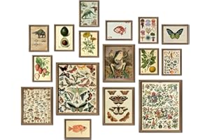 ANERZA 16 PCS Vintage Wall Art Decor, Cottagecore Wall Collage Kit for Bedroom, Farmhouse Posters for Room Aesthetic, Wall Prints Pictures for Living Room, Rustic Dorm Gallery Home Decor