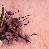 Aspire Homeware Pink Area Rug 80x150cm Non Slip Shaggy Fluffy Thick Pile view 9