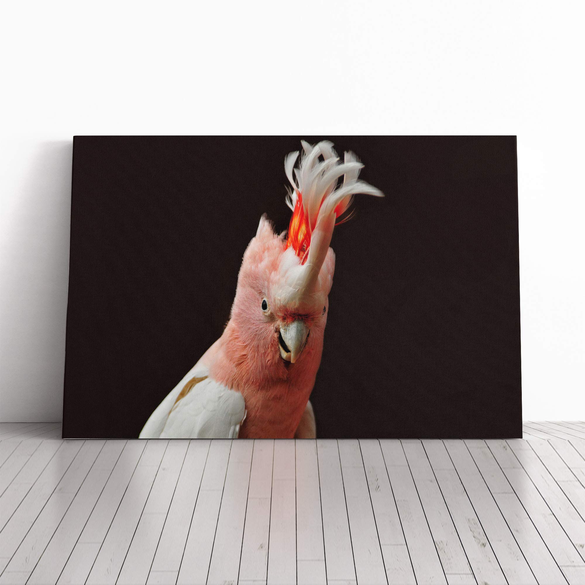 Cockatoo Bird (1) Canvas Print | Gallery Wrapped 30mm Frame Wall Art | 20x14 inches | Ready to Hang | Modern Animals Picture | Living Room Bedroom Lounge Office