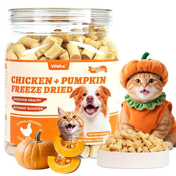 WELLIX CHICKEN & PUMPKIN RAW TREAT – FREEZE...