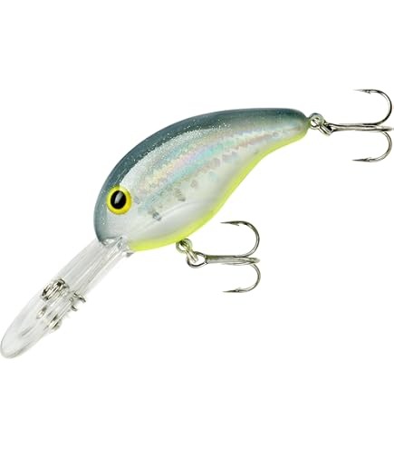 Amazon.com : BANDIT LURES Crankbait Series 100 200 & 300 Bass Fishing Lures,  LA Shad, Series 200 (Dives to 8') (BDT208) : Artificial Fishing Bait :  Sports & Outdoors