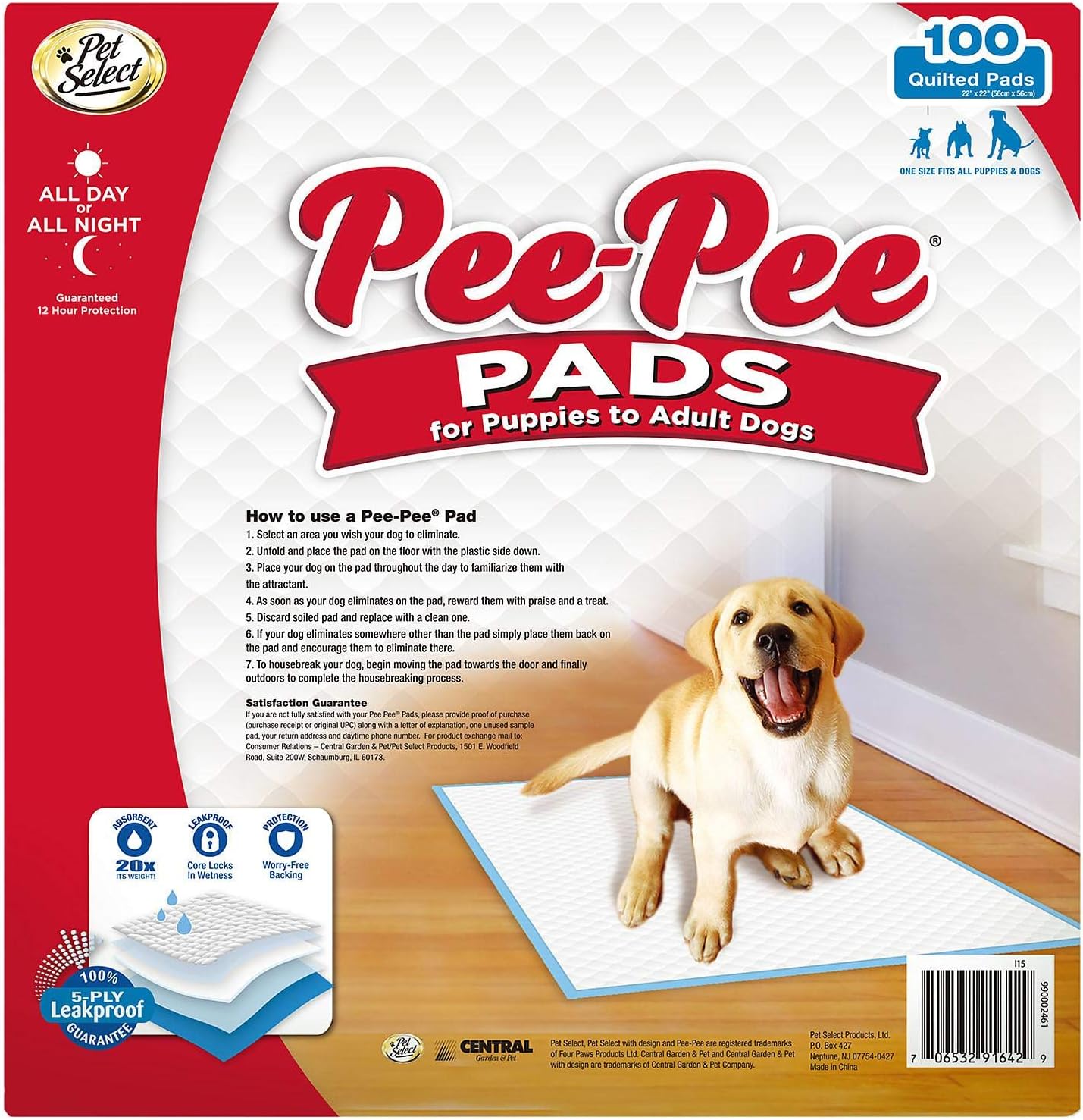 constipation in dogs how to treat