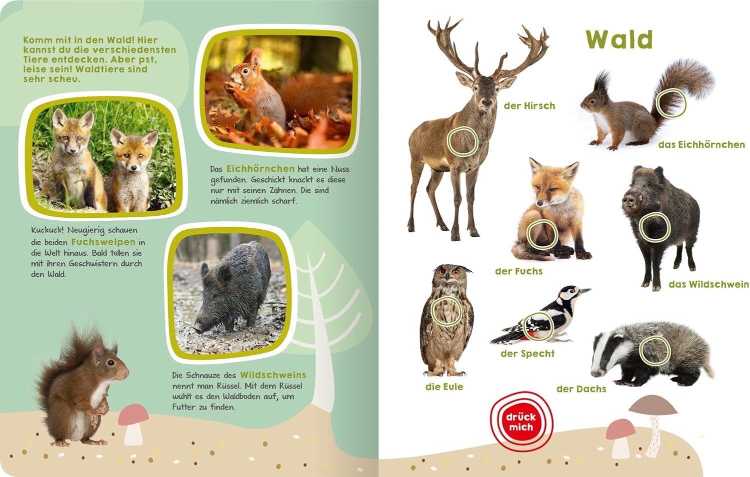 Ars Edition Mein Grosses Buch Der Tiergerausche Gebundene Ausgabe 1 Kindersticker Bogen Amazon De Spielzeug