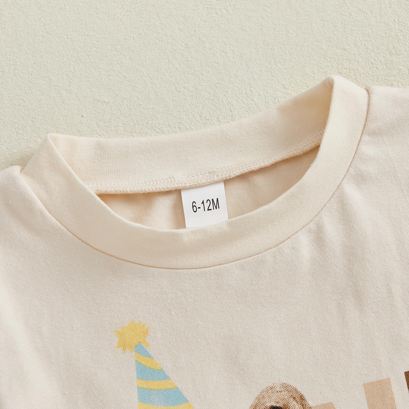 Frietlebird Baby Boy First Birthday Outfit Short Sleeve Bear Print Shirt Shorts Sets Cake Smash Clothes 2Pcs