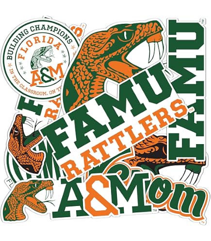 Florida A&M Rattlers football star receiver Jamari Gassett in photos