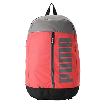 23 Ltrs Pink Backpack (7566303)