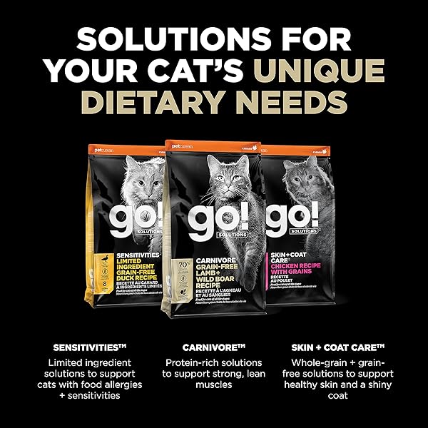 GO! SOLUTIONS CARNIVORE GRAIN FREE DRY CAT FOOD, 16 LB – LAMB + WILD BOAR RECIPE – PROTEIN RICH DRY CAT FOOD – COMPLETE + BALANCED NUTRITION FOR ALL LIFE STAGES