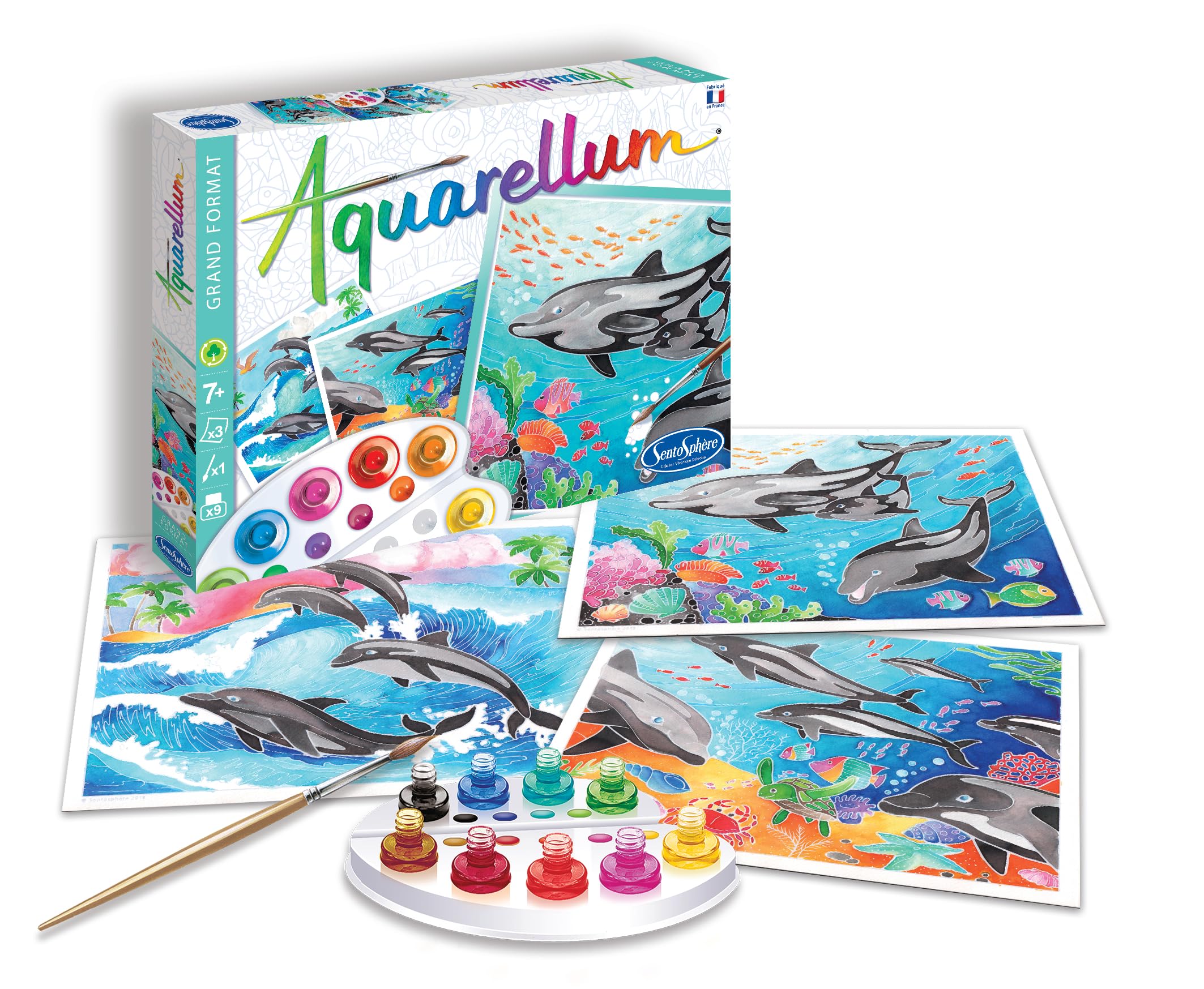 Sentosphère Aquarellum Dolphins