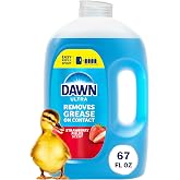 Dawn Ultra Dish Soap Refill Jug, Large Size Liquid Dishwashing Detergent, Powerful Dish Soap for Grease, Strawberry Fields Scent, 67 oz