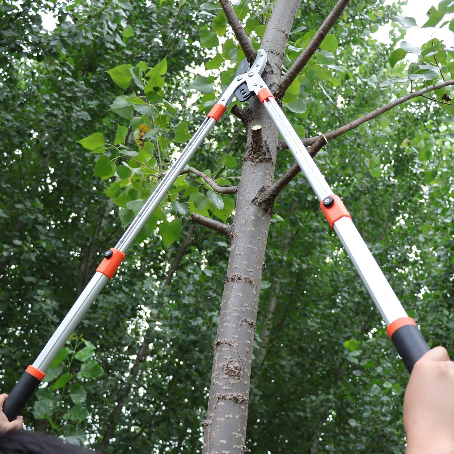 THANOS Pruning Loppers, Tree Pruner, with SK-5 High Carbon Steel Blades, Telescoping Aluminium Lightweight Handle, Branch Cutter, Tree Trimmer, Hand loppers : Garden & Outdoor