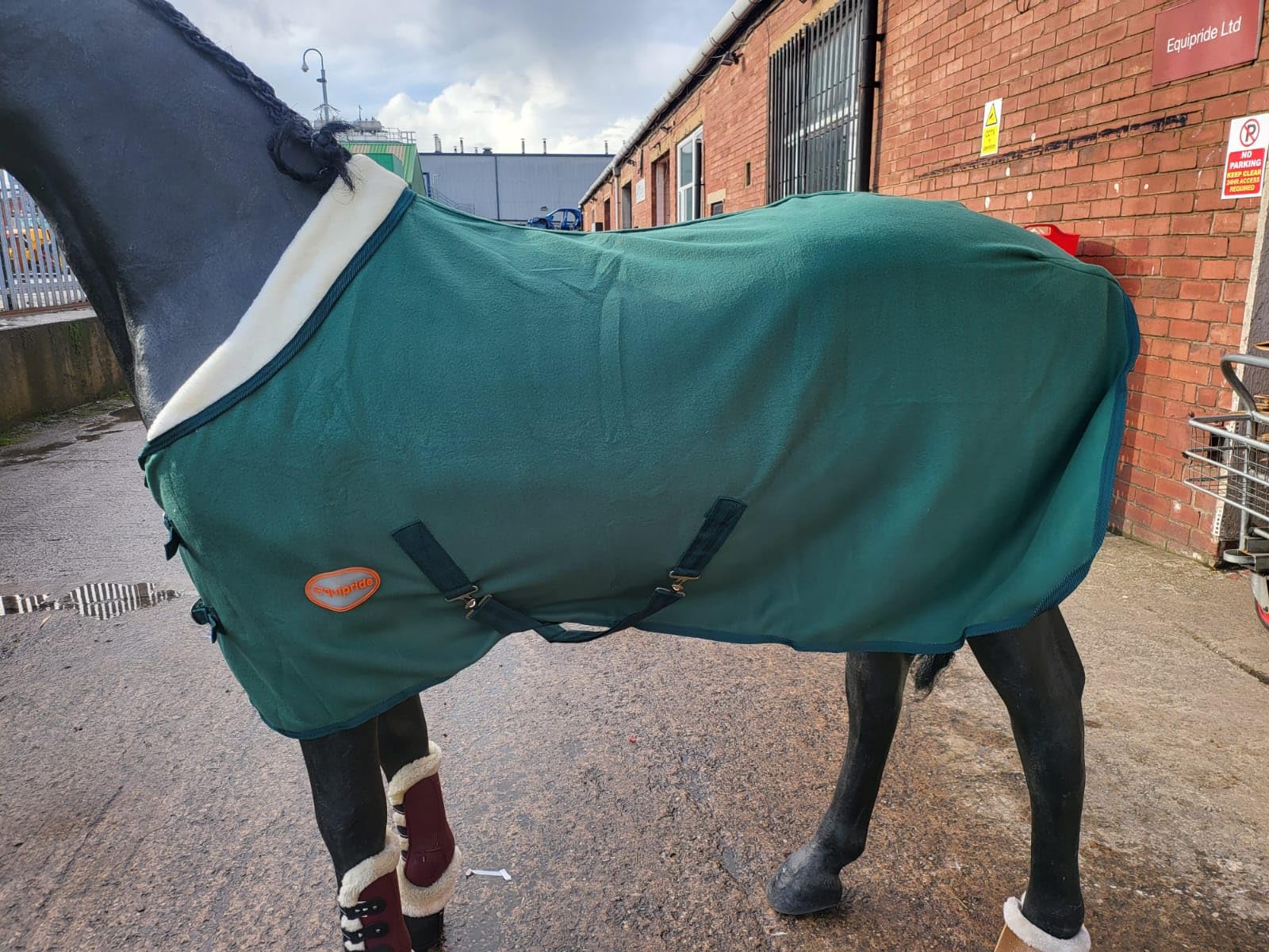 Starlight Horse Rug Show Rug Fleece Travel Rug with Faux Fur Collar 4'0" to 6'9" Hunter Green (4'0")