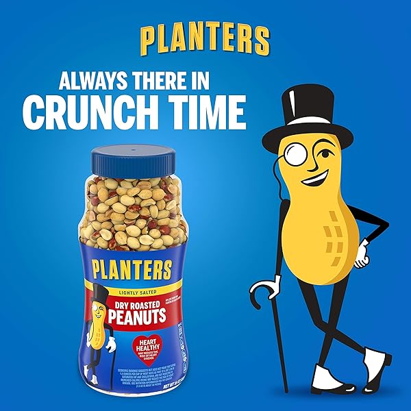 PLANTERS PEANUTS, DRY ROASTED PEANUTS, LIGHTLY SALTED SNACK MIX, SNACKS FOR ADULTS – 16 OZ. JARS, PACK OF 12 PLANTERS NUTS