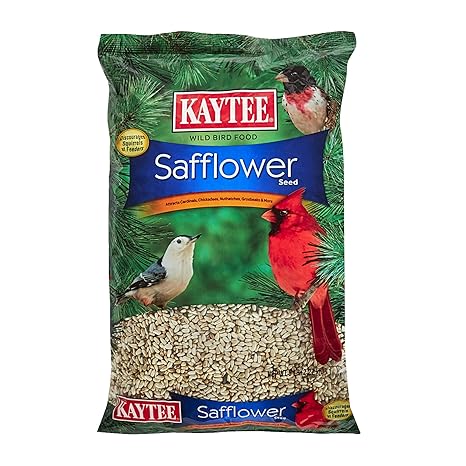 Kaytee Safflower Seed 5 Pound Bag Amazon In Garden Outdoors