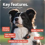 PitPat GPS Dog Tracker No Monthly Fees Pink - Satellite Live Tracking view 4
