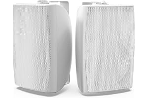 Herdio 8 Inch 600W Outdoor Speakers Passive Waterproof Wired with Powerful Bass, Wall Mount Durable Loud Sound System | Ideal