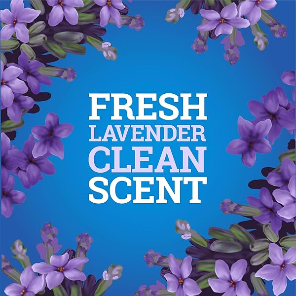 CLOROXPRO PINE-SOL MULTI-SURFACE CLEANER, ALL PURPOSE CLEANER, LAVENDER CLEAN, 80 FLUID OUNCES (PACKAGE MAY VARY)