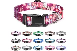 Mercano Adjustable Dog Collar - Special Design Patterns, Soft Nylon Comfortable Durable Pet Collar for Small Medium Large Dogs (S, Colorful Flower)