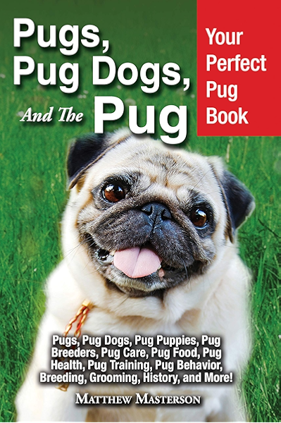 Pugs Pug Dogs And The Pug Your Perfect Pug Book Pugs Pug Dogs Pug Puppies Pug Breeders Pug Care Pug Food Pug Health Pug Training Pug Behavior Breeding Grooming History And More