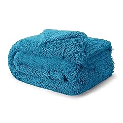 Bedsure Soft Bright Blue Blankets Queen Size for