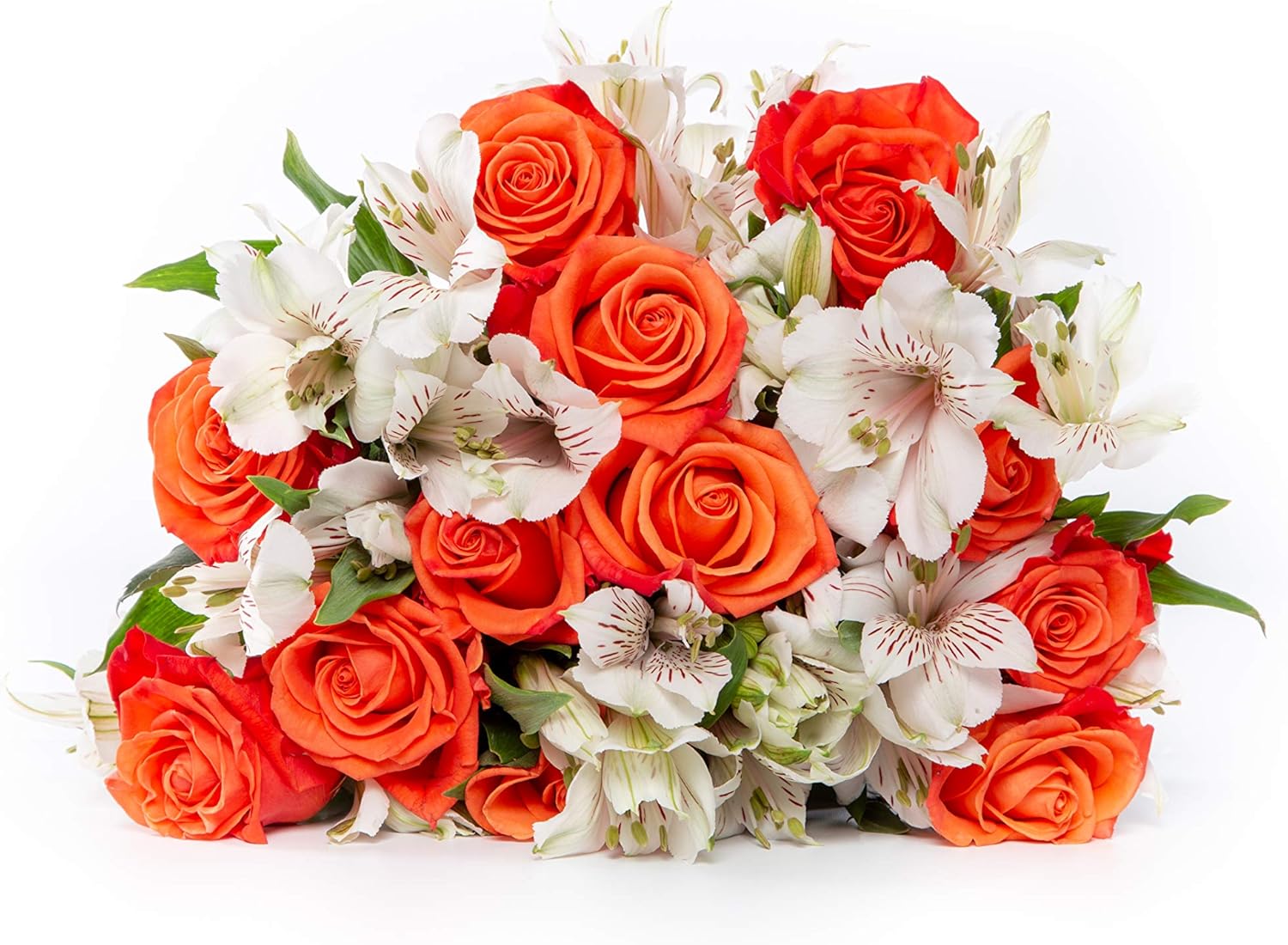 Amazon Com 24 Stem Orange Rose White Alstroemeria Peruvian Lily Bouquet With One Dozen Roses And One Dozen Princess Lilies For Centerpieces And Long Vase Life Vase Not Included Garden Outdoor