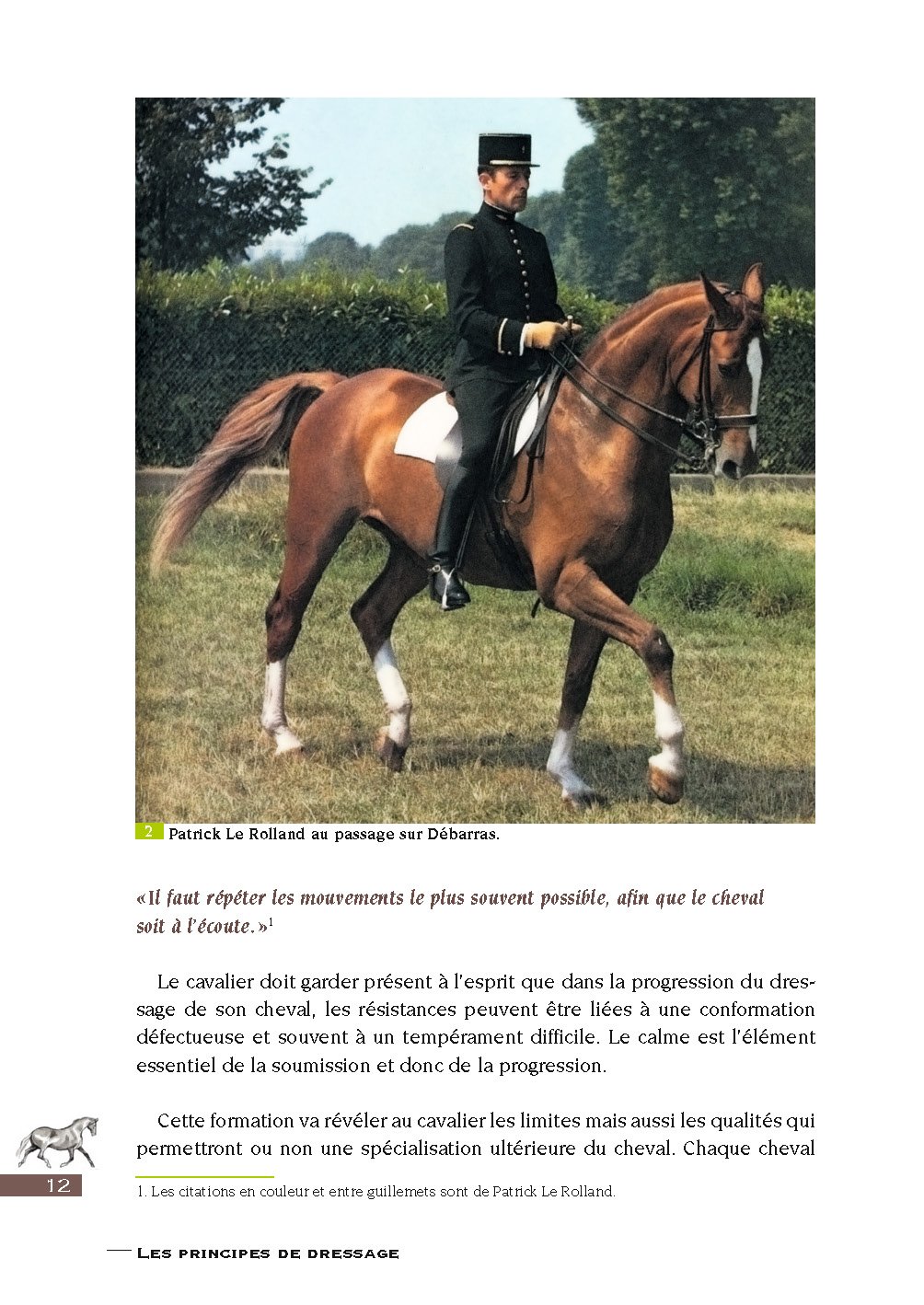 Les Principes De Dressage De Patrick Le Rolland Technique Equestre French Edition Le Rolland Patrick Vie Jean Marc Amazon Com Books
