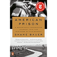 American Prison: A Reporter's Undercover Journey into the Business of Punishment book cover