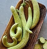 Burpee 'Armenian' Cucumber Seeds, 100 Non-GMO