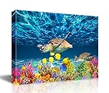 Bathroom Canvas Wall Art Kitchen Wall Decoration