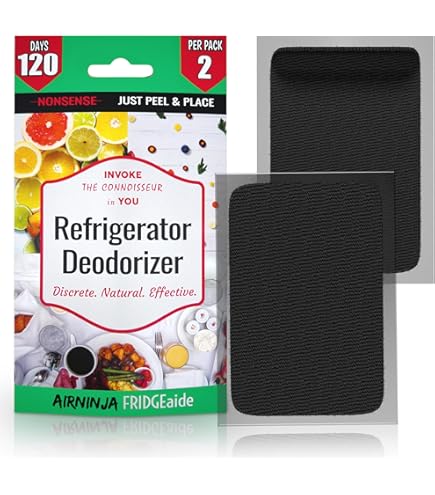 10-Year Fridge Deodorizer Box – Reusable Charcoal-Free Odor Eliminator For Refrigerator, Freezer, Car & Closet, Green