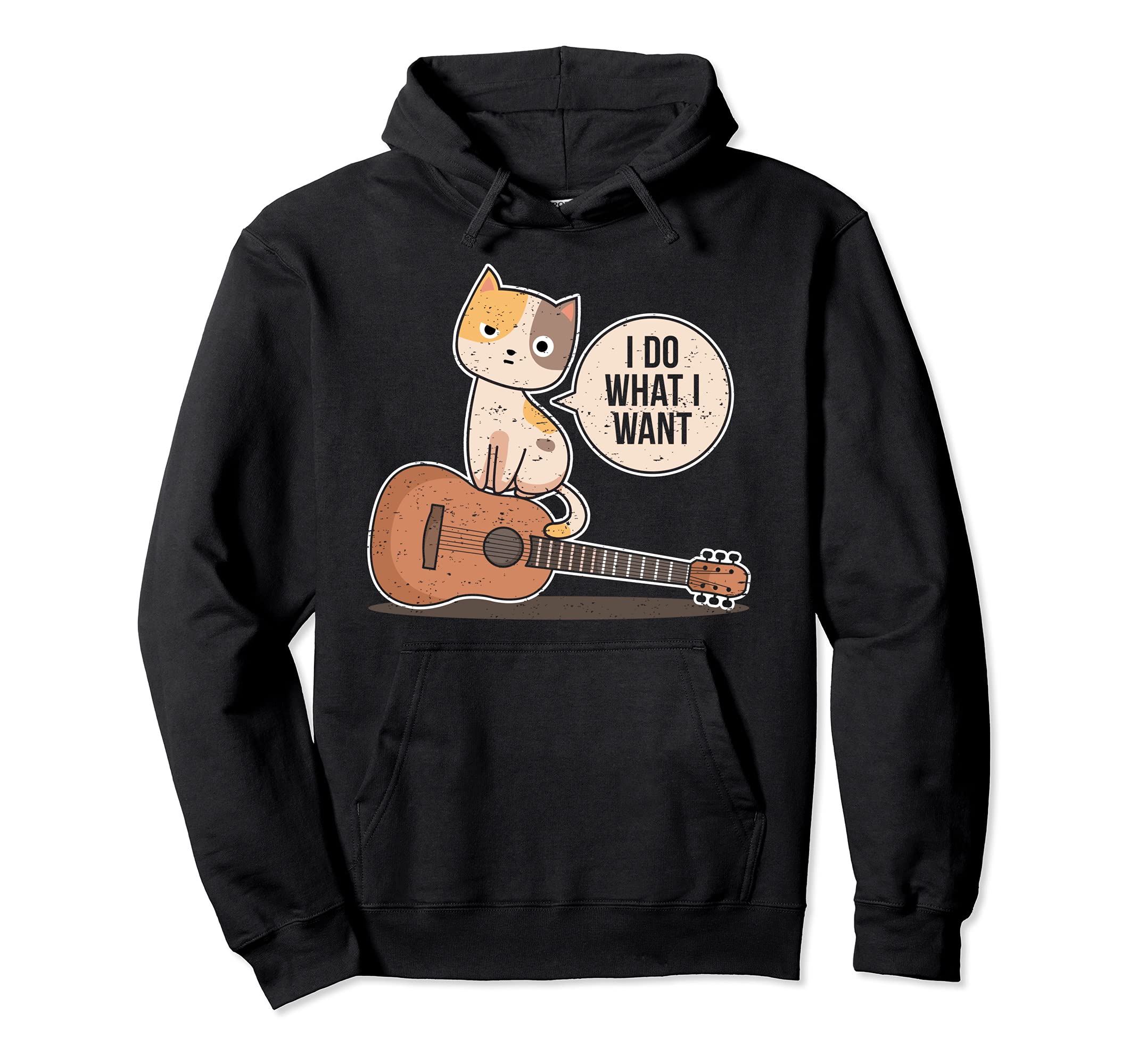 Funny Guitar Player Saying Guitarist Cute Cat What I Want Pullover Hoodie