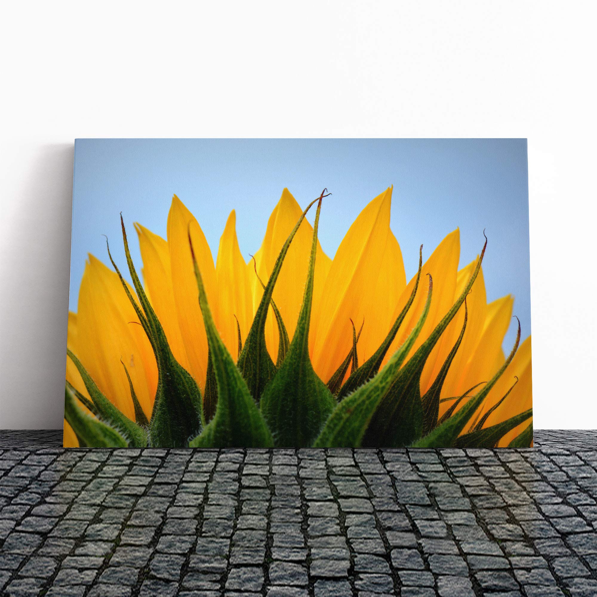 Yellow Sunflower Flower (8) Canvas Print | Gallery Wrapped 30mm Frame Wall Art | 20x14 inches | Ready to Hang | Modern Floral Picture | Living Room Bedroom Lounge Office