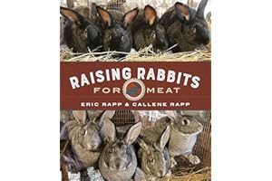 Raising Rabbits for Meat