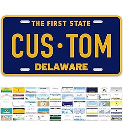 Custom Delaware License Plate, Personalized License