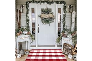 BOTTALIVE Christmas Plaid Outdoor Rug, 2'4" x 3'7" Red&White Check Indoor/Outdoor Area Rug, Layering Rug for Hello/Welcome Door Mat, Machine Washable Cotton Woven Rug for Farmhouse Front Porch,Entryway