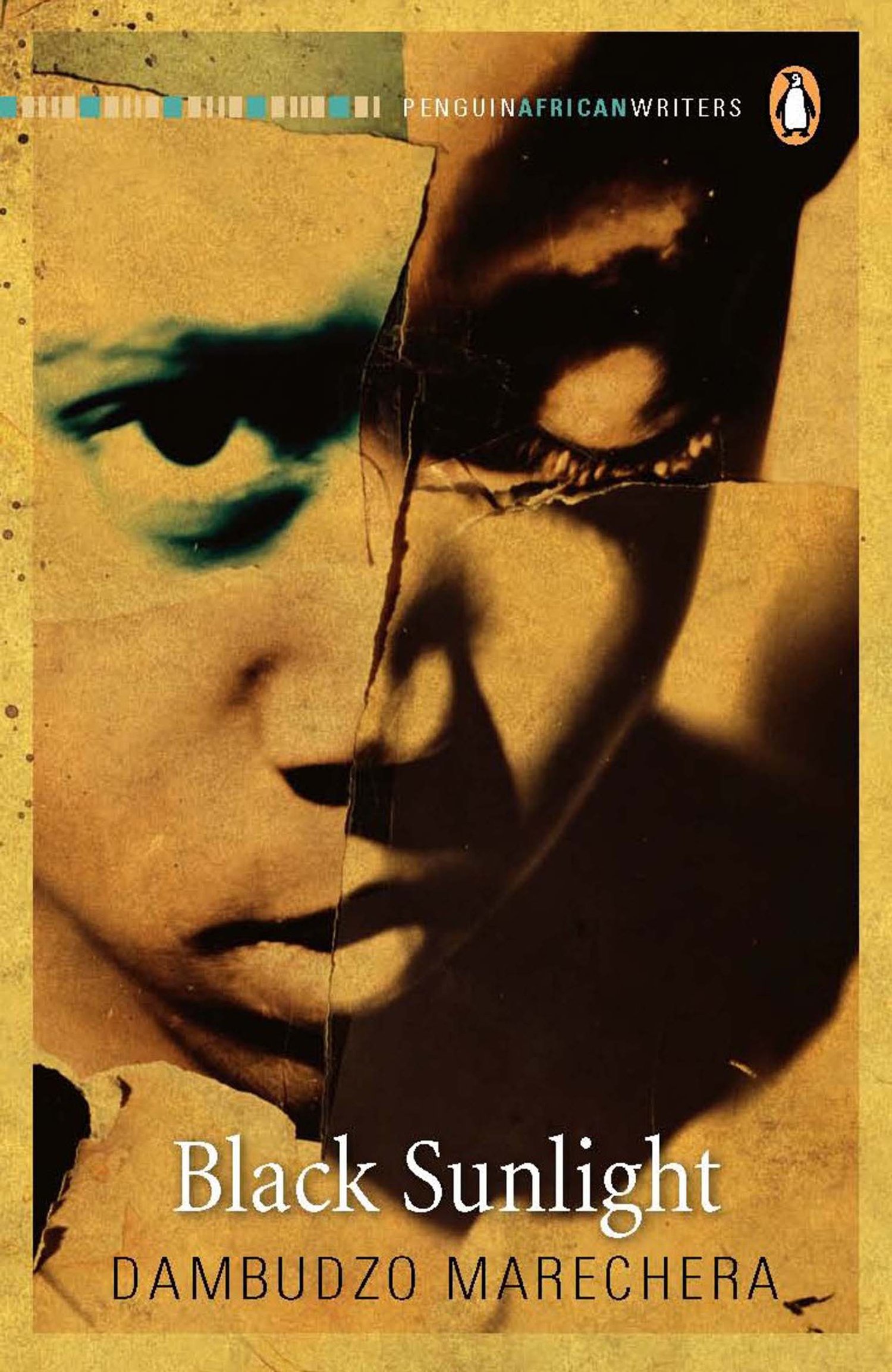 black sunlight by dambudzo marechera