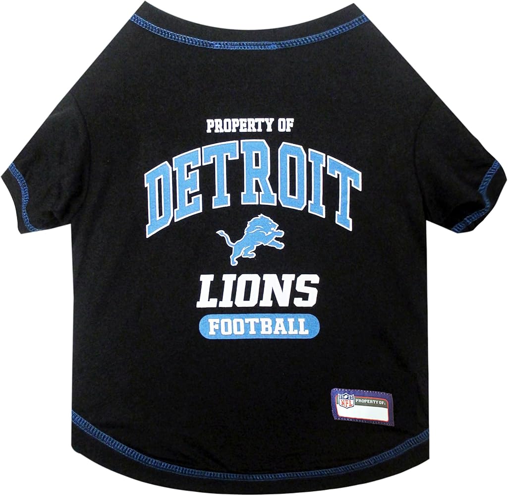 detroit teams shirt