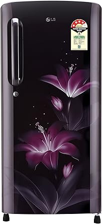 LG 190 L 4 Star Direct Cool Single Door Refrigerator(GL-B201APGX.APGZEBN, Purple