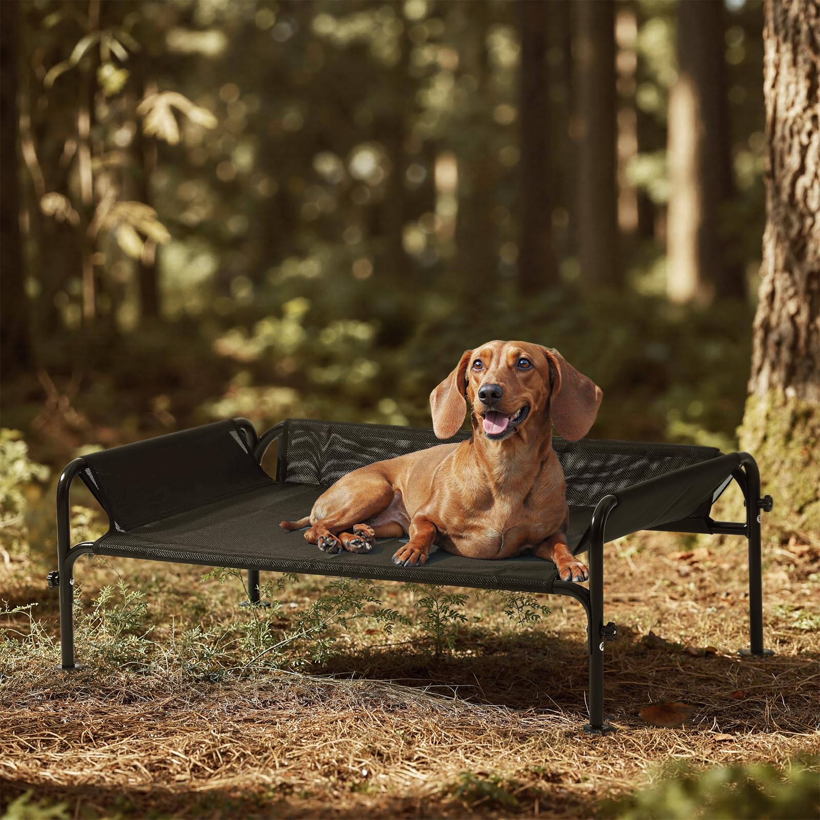 Photo 1 of Gardner Pet Elevated Dog Bed for Small Dog, Outdoor Raised Bed Waterproof Portable Cooling Pet Cot Hammock Bed with 3-Sided Guardrail, Breathable Mesh, Black, 35 Inches