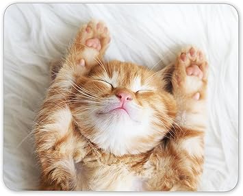 Tapis De Souris En Forme De Chaton Amazon Fr High Tech