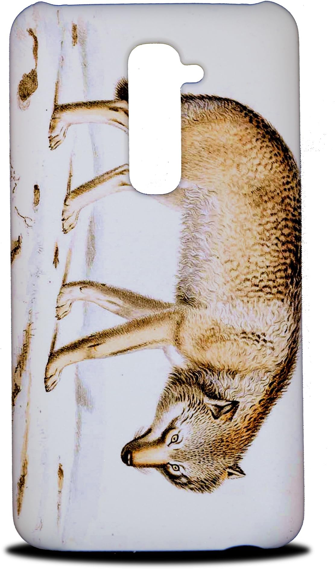 Foxercases Design Fun Classic Cute Fox #9 Hard Back Case Cover for LG G2