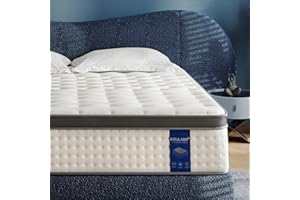 KOULABR Z Twin Mattress,10 Inch Twin Size Mattresses in a Box,Memory Foam Hybrid Mattress , Individual Pocket Spring for Motion Isolation &Zoned Support & Pressure Relief,Medium Firm (Twin, 10, 0.0, Inches)