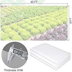 25 x 40 FT Clear Greenhouse Plastic Sheeting, 6 Mil